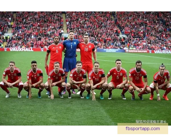 世界杯赛事全攻略详解：掌握投注技巧提高胜率秘籍